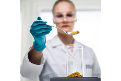 Scientist in a lab